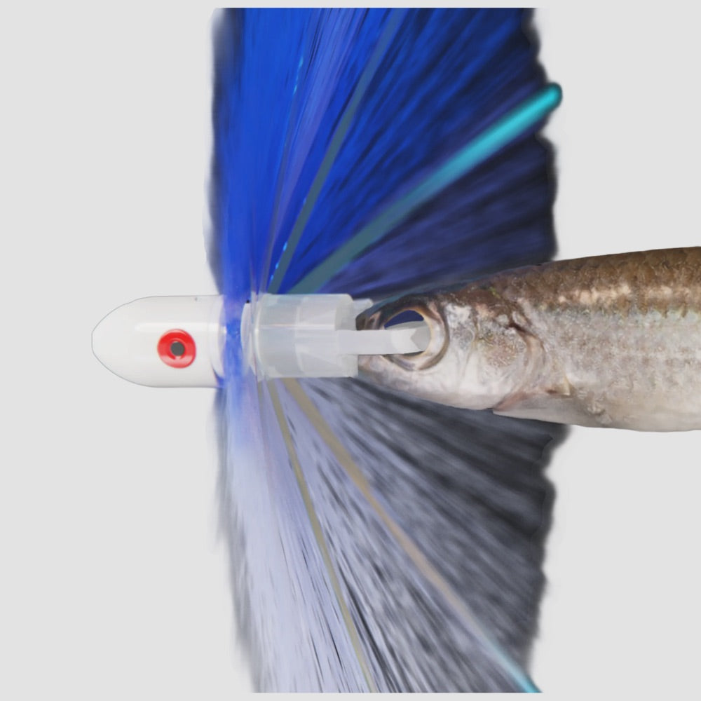 Wolfpack Tackle - Ahi Head Pro Ballyhoo Pre-Rig