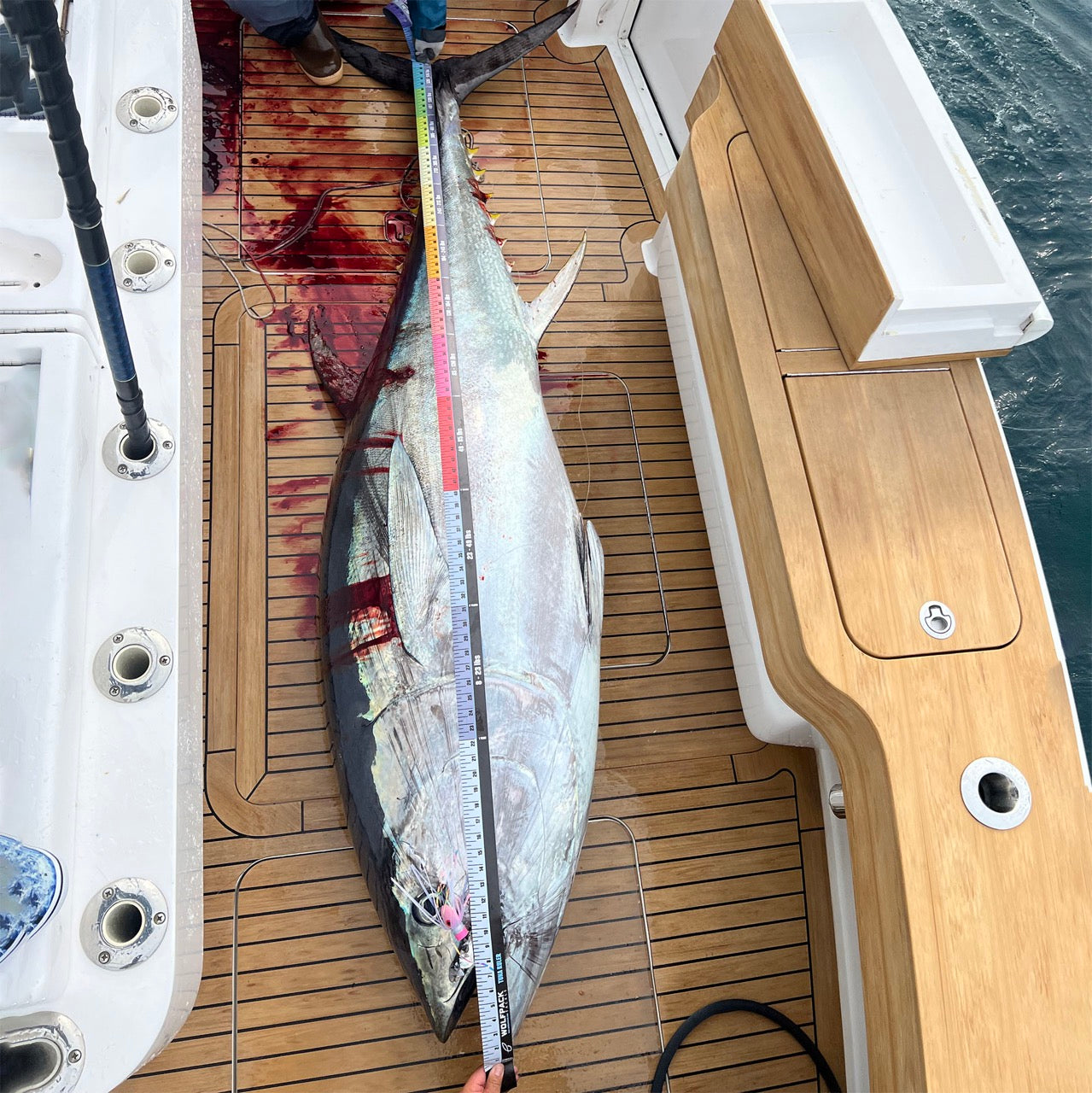 Wolfpack Tackle - Fish Ruler