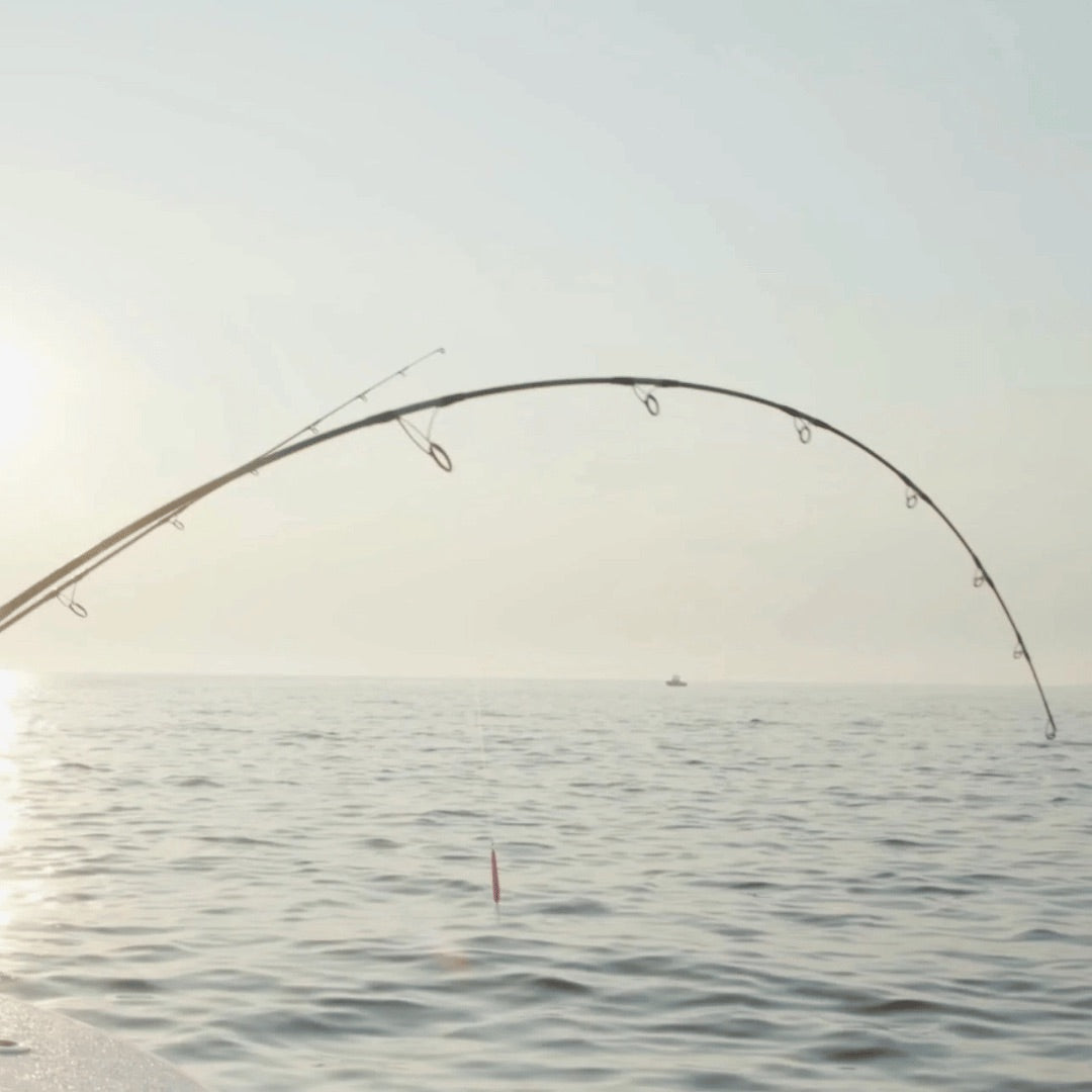 zcr-inshore-3-spinning-rod-lifestyle-2