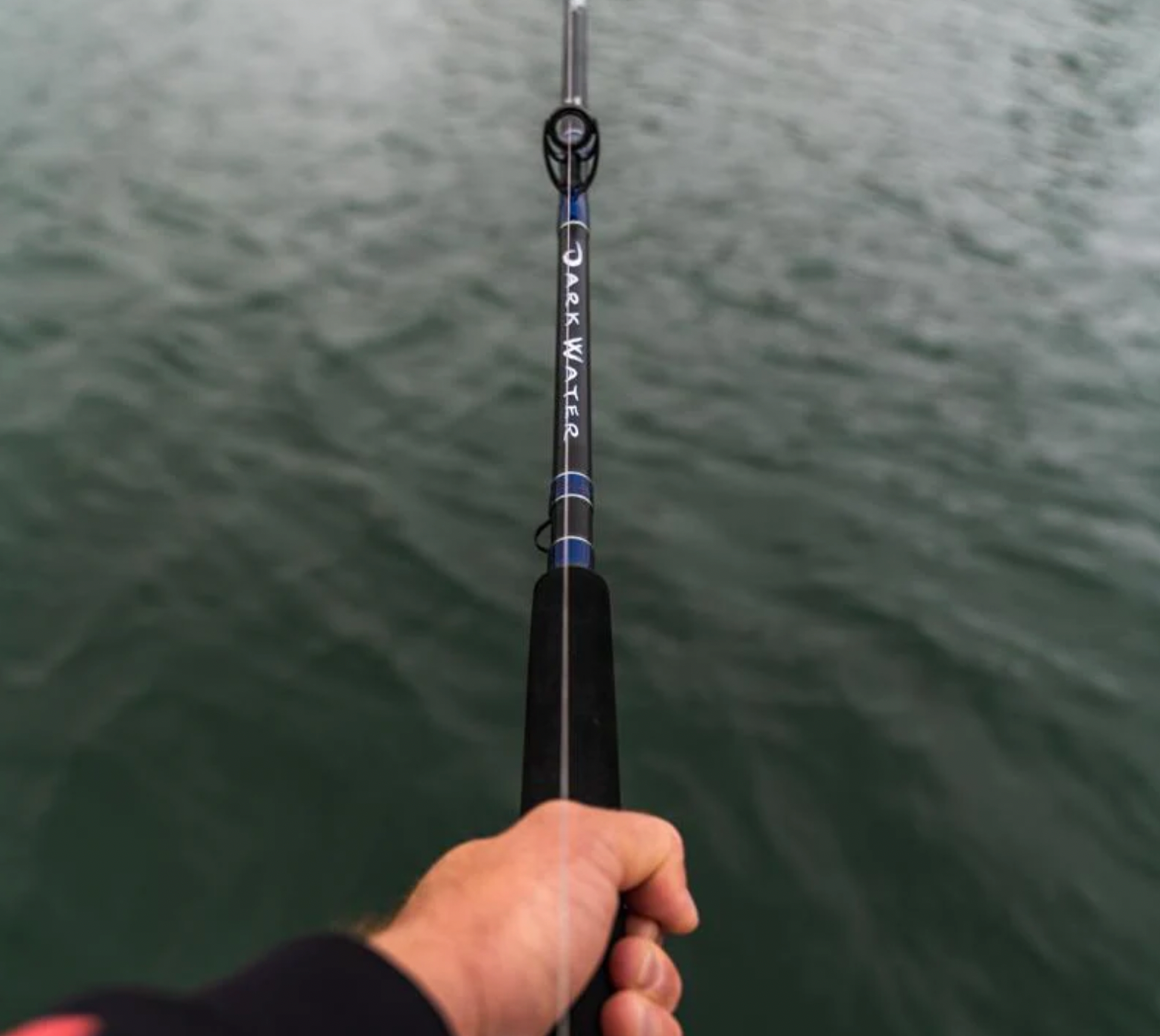 Daiwa - Darkwater Saltwater Rods (Conventional)