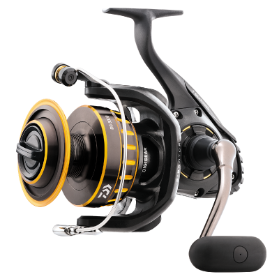 Sea Fishing Reels Best Affordable Saltwater Reels Daiwa Reel BG Spinning