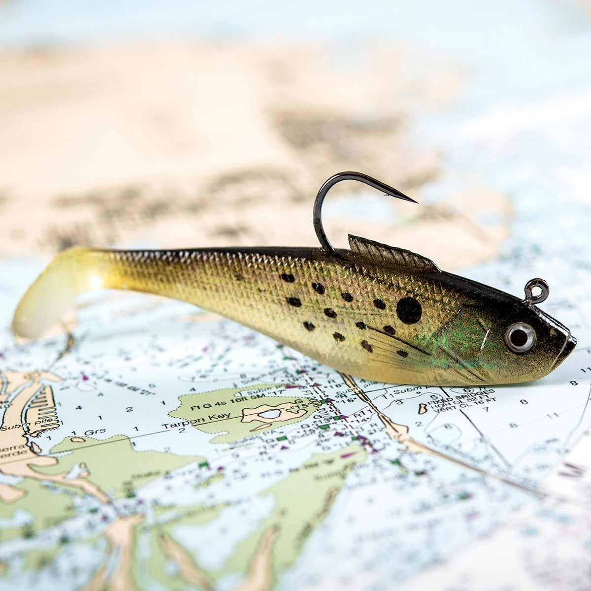 1 oz holographic bass lure Tsunami Holographic Swim Shad 4in (6pk) / Black Back